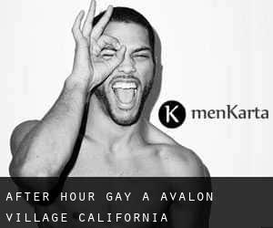 After Hour Gay a Avalon Village (California)
