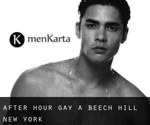 After Hour Gay a Beech Hill (New York)