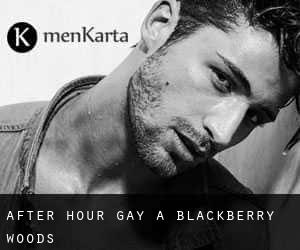 After Hour Gay a Blackberry Woods