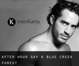 After Hour Gay a Blue Creek Forest