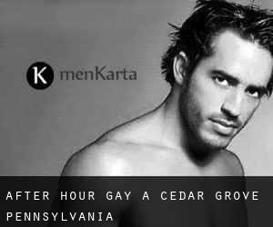 After Hour Gay a Cedar Grove (Pennsylvania)