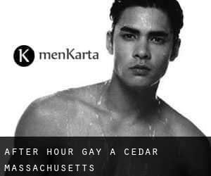 After Hour Gay a Cedar (Massachusetts)
