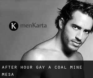 After Hour Gay a Coal Mine Mesa