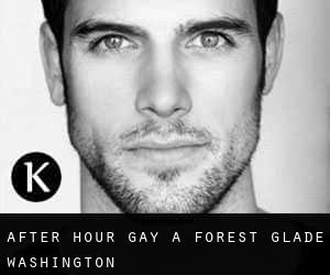 After Hour Gay a Forest Glade (Washington)