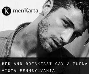 Bed and Breakfast Gay a Buena Vista (Pennsylvania)