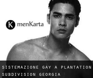 Sistemazione Gay a Plantation Subdivision (Georgia)
