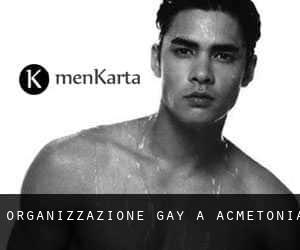 Organizzazione Gay a Acmetonia