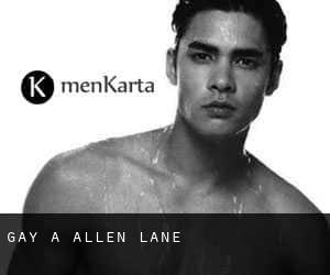 Gay a Allen Lane