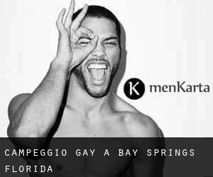 Campeggio Gay a Bay Springs (Florida)