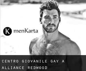 Centro Giovanile Gay a Alliance Redwood