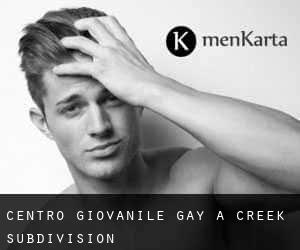Centro Giovanile Gay a Creek Subdivision