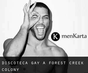 Discoteca Gay a Forest Creek Colony