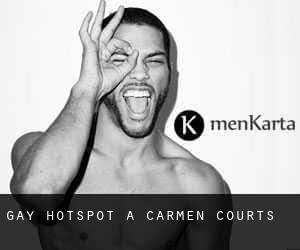 Gay Hotspot a Carmen Courts