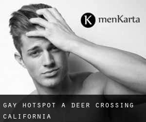 Gay Hotspot a Deer Crossing (California)