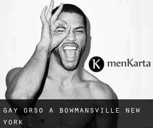 Gay Orso a Bowmansville (New York)