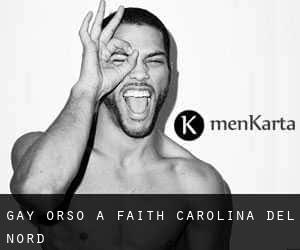 Gay Orso a Faith (Carolina del Nord)