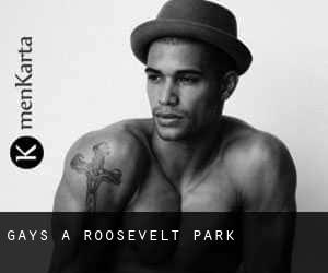 Gays a Roosevelt Park