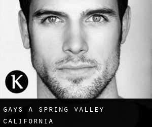 Gays a Spring Valley (California)