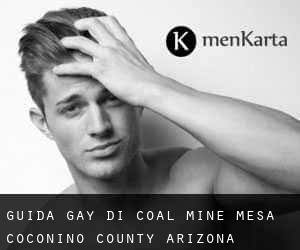 guida gay di Coal Mine Mesa (Coconino County, Arizona)