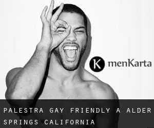 Palestra Gay Friendly a Alder Springs (California)