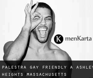 Palestra Gay Friendly a Ashley Heights (Massachusetts)