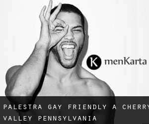 Palestra Gay Friendly a Cherry Valley (Pennsylvania)