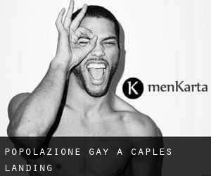 Popolazione Gay a Caples Landing