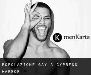 Popolazione Gay a Cypress Harbor