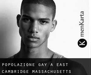 Popolazione Gay a East Cambridge (Massachusetts)