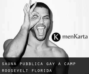 Sauna pubblica Gay a Camp Roosevelt (Florida)