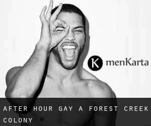 After Hour Gay a Forest Creek Colony