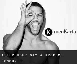 After Hour Gay a Krokoms Kommun