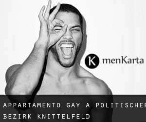 Appartamento Gay a Politischer Bezirk Knittelfeld