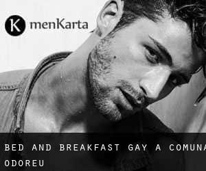 Bed and Breakfast Gay a Comuna Odoreu