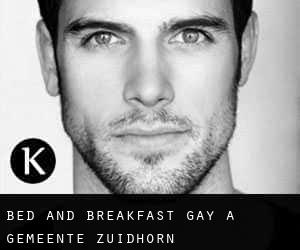 Bed and Breakfast Gay a Gemeente Zuidhorn