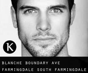 Blanche - Boundary Ave. Farmingdale (South Farmingdale)