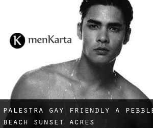 Palestra Gay Friendly a Pebble Beach Sunset Acres