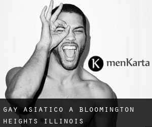 Gay Asiatico a Bloomington Heights (Illinois)