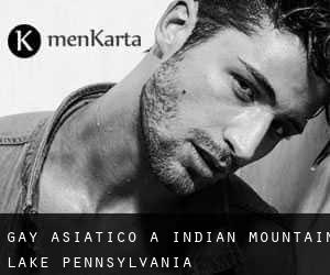Gay Asiatico a Indian Mountain Lake (Pennsylvania)
