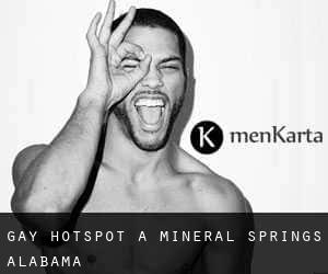 Gay Hotspot a Mineral Springs (Alabama)