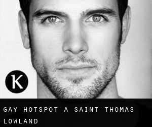 Gay Hotspot a Saint Thomas Lowland
