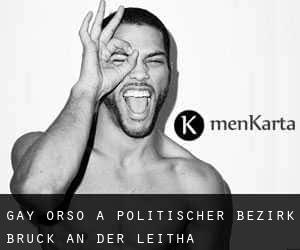 Gay Orso a Politischer Bezirk Bruck an der Leitha