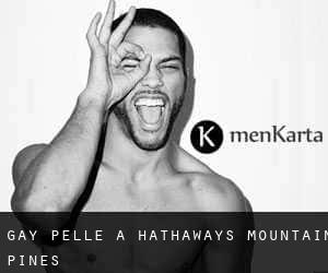Gay Pelle a Hathaways Mountain Pines