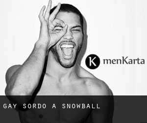 Gay Sordo a Snowball