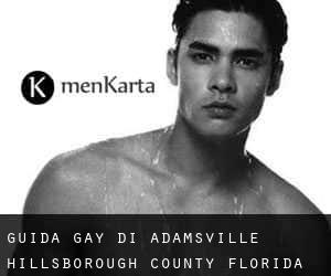 guida gay di Adamsville (Hillsborough County, Florida)