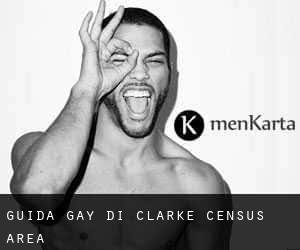guida gay di Clarke (census area)