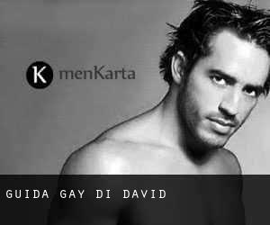 guida gay di David