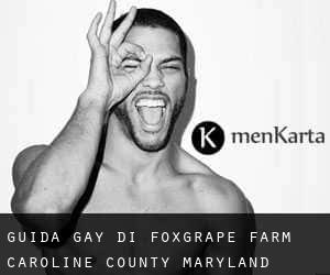 guida gay di Foxgrape Farm (Caroline County, Maryland)