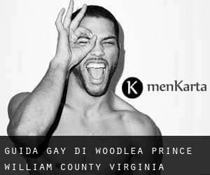 guida gay di Woodlea (Prince William County, Virginia)