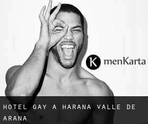 Hotel Gay a Harana / Valle de Arana